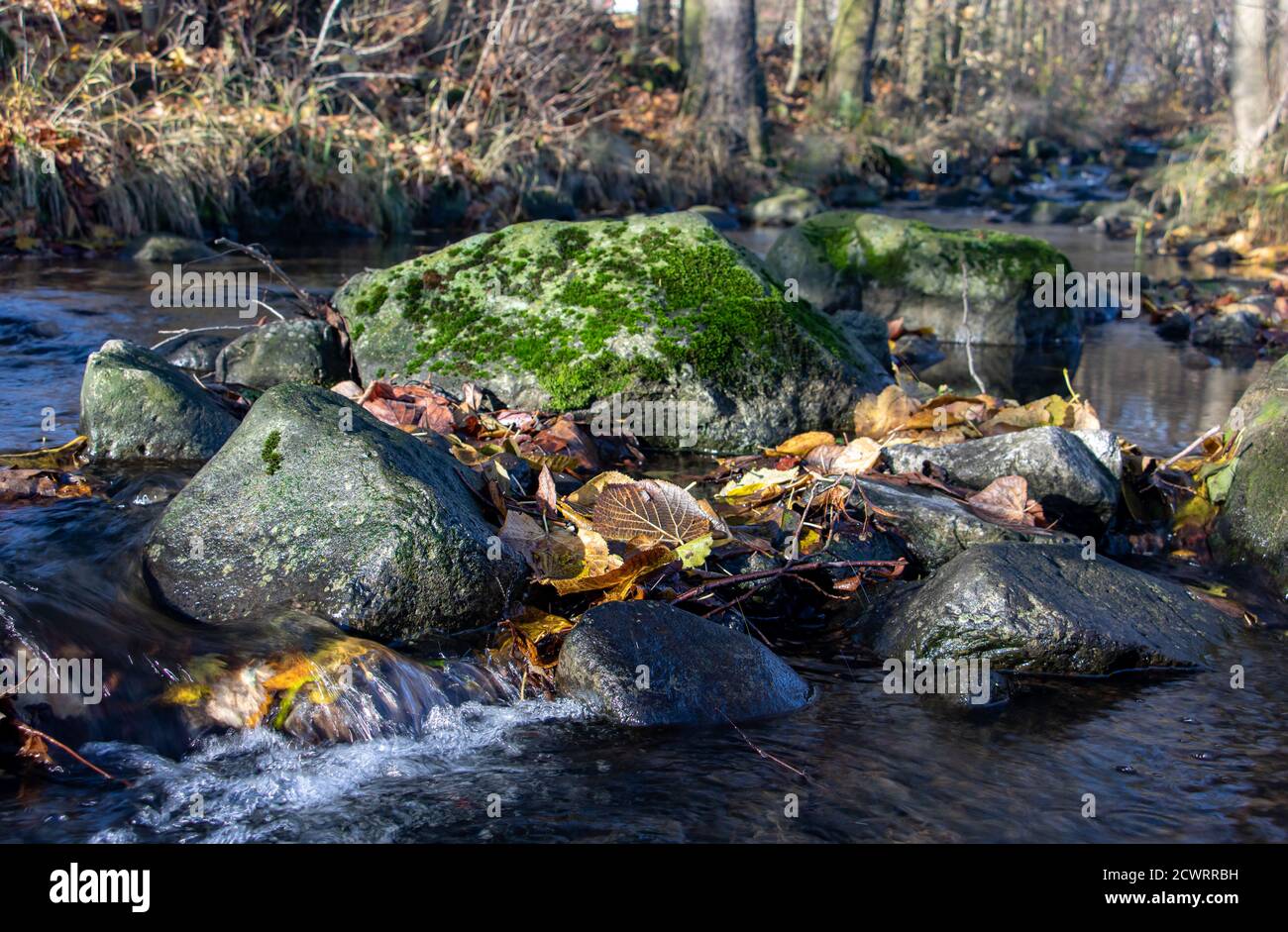 Une cascade d'eau avec des rochers dans le ruisseau d'automne avec des feuilles mortes sur une rive rocheuse. L'eau coule autour des pierres de la rivière. Banque D'Images