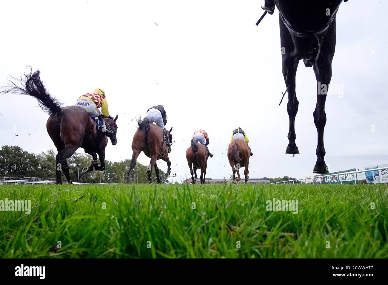 Une vue générale du côté de l'atterrissage d'un fossé ouvert pendant la montre et le pari avec MansionBet novicess' handicap Chase à l'hippodrome de Huntingdon. Banque D'Images