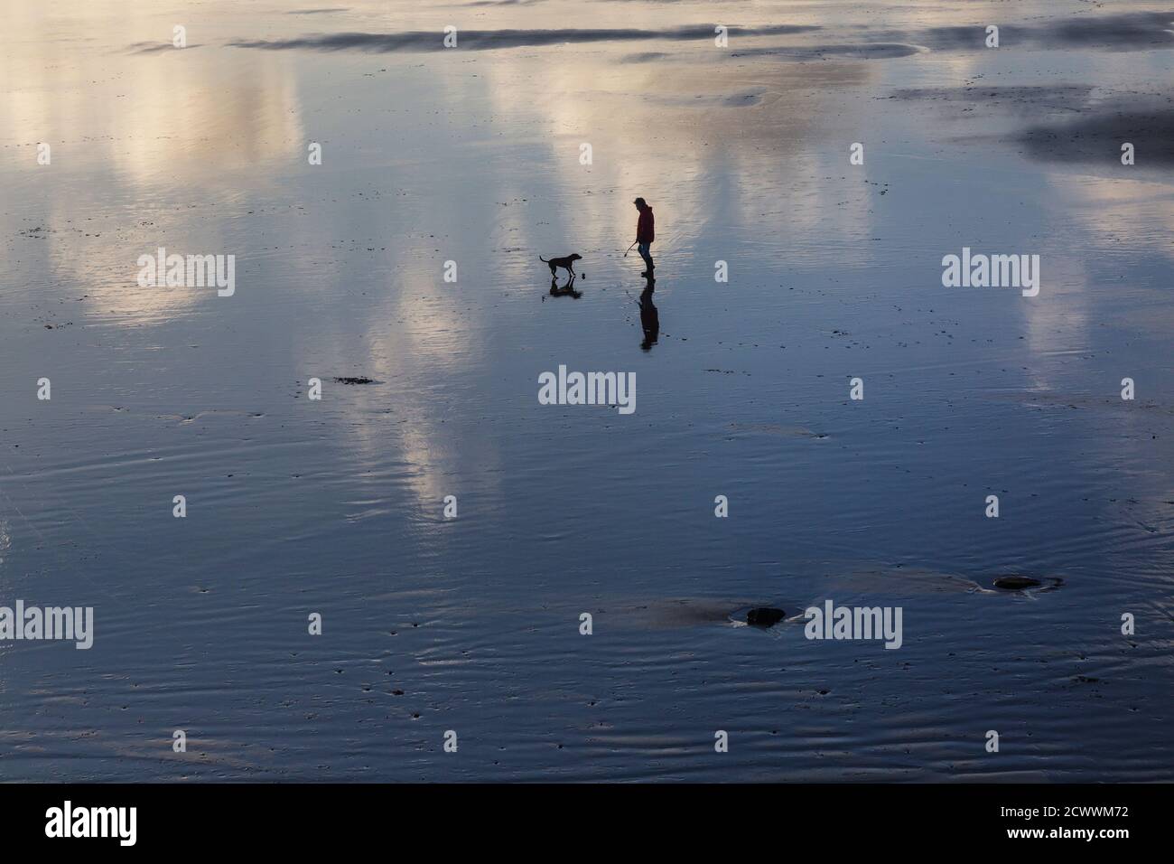 Un homme et son chien sur une plage au pays de Galles Banque D'Images