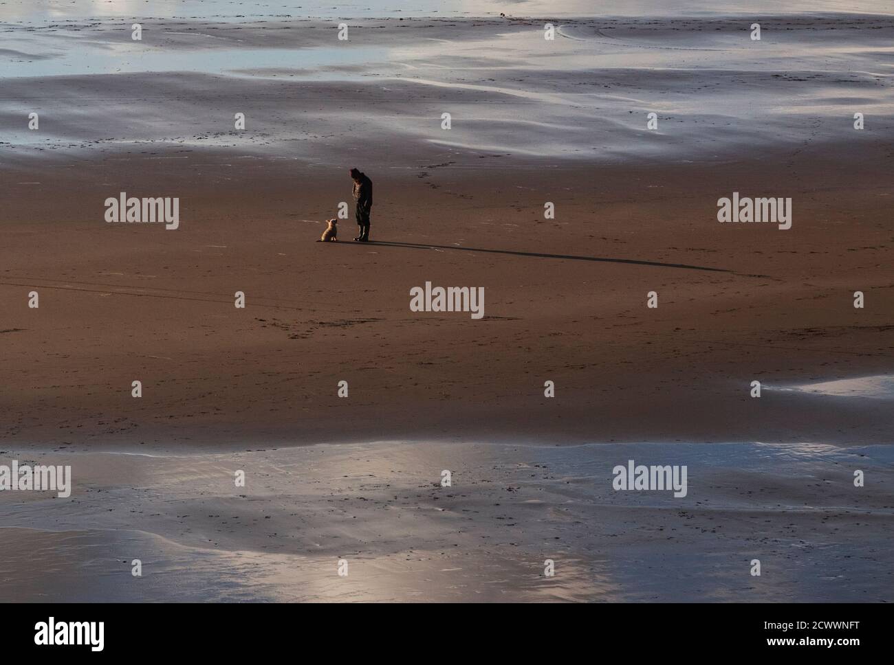 Un homme et son chien sur une plage au pays de Galles Banque D'Images