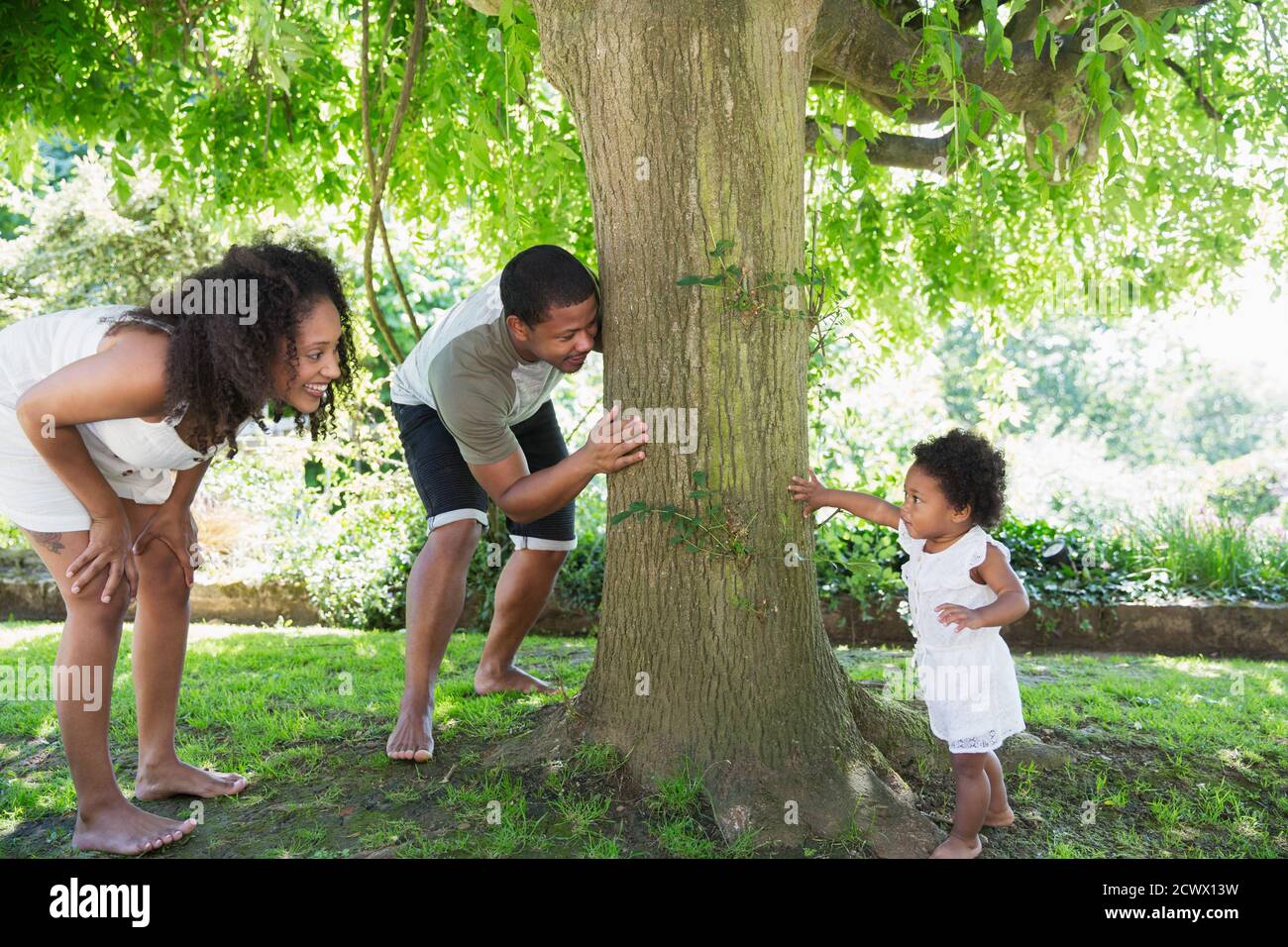 Les parents qui jouent cacher et chercher avec une petite fille mignonne à arbre Banque D'Images