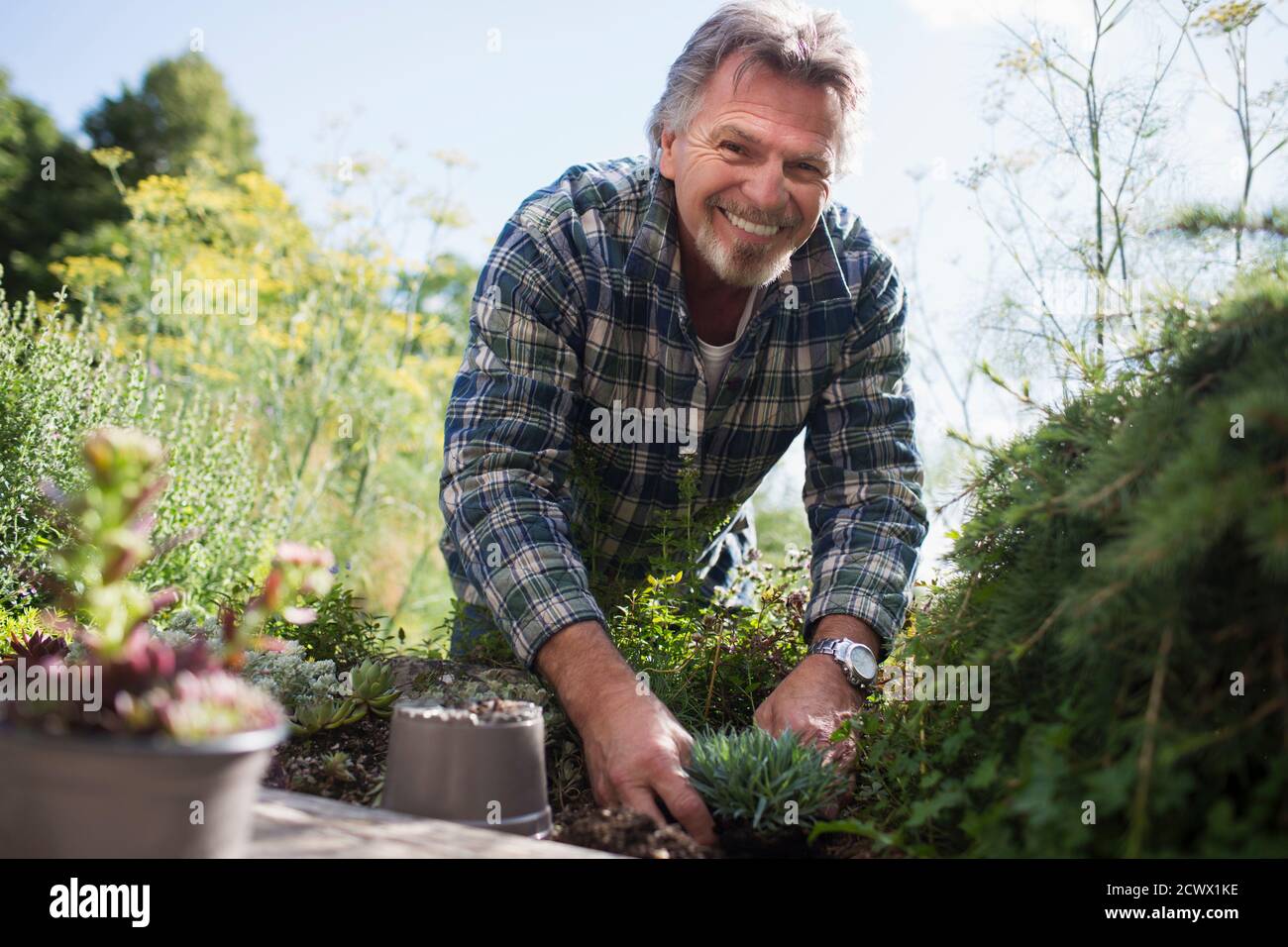 Portrait heureux homme senior jardinage Banque D'Images