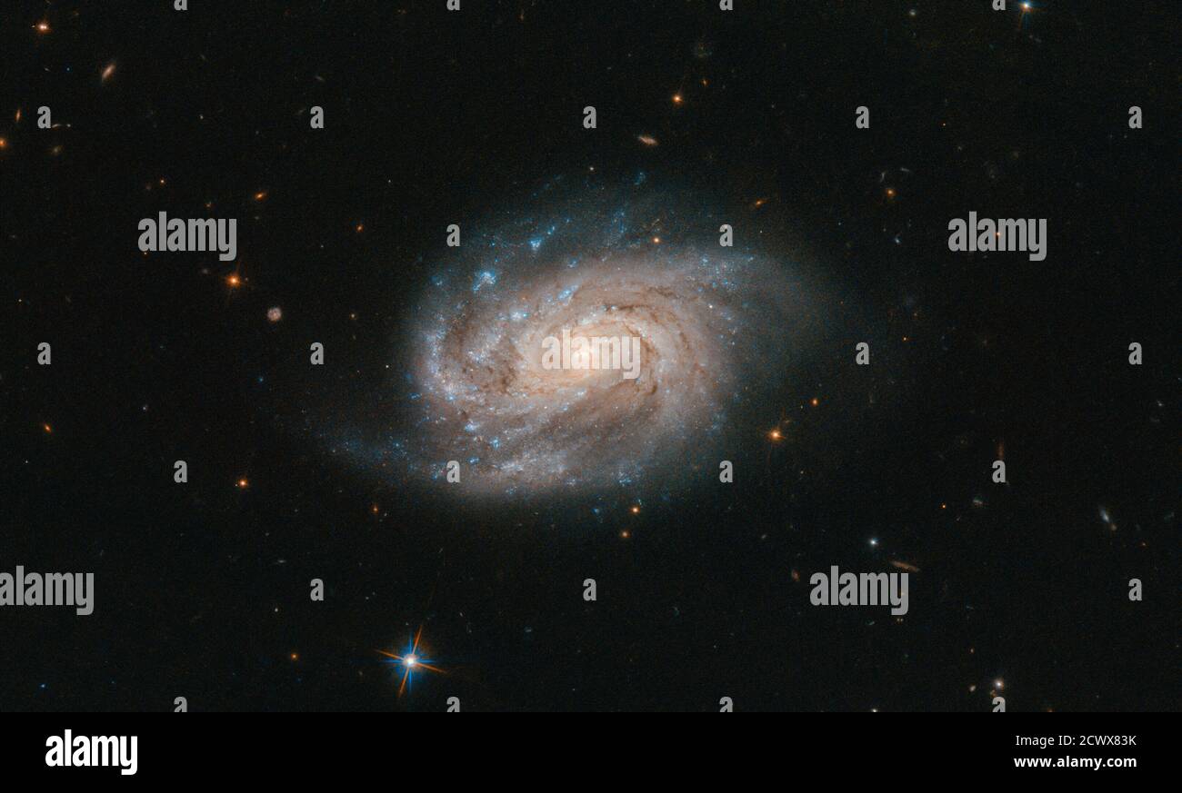 Hubble Views Galaxy du célèbre catalogue cet objet lumineux, quelque peu semblable à un blob — vu dans cette image prise par le télescope spatial Hubble de la NASA/ESA — est une galaxie nommée NGC 1803. Il est à environ 200 millions d’années-lumière, dans la constellation sud de Pictor (l’Easel du peintre). Le NGC 1803 a été découvert en 1834 par l'astronome John Herschel. Herschel est un grand nom en astronomie; John, son père William et sa tante Caroline ont tous fait d'énormes contributions dans le domaine, et leurs legs sont encore aujourd'hui. William a systématiquement catalogué beaucoup des objets qu'il a vus dans le ciel nocturne, nommé beaucoup de lunes moi Banque D'Images