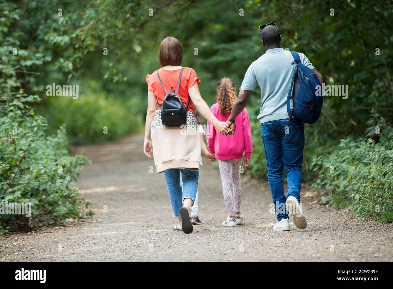 Famille tenant les mains marchant sur le chemin dans les bois Banque D'Images