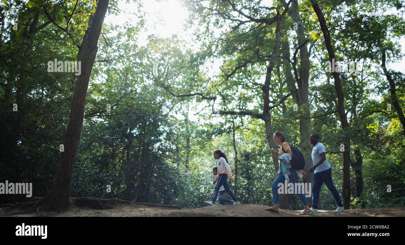 Randonnée en famille dans les bois ensoleillés d'été Banque D'Images