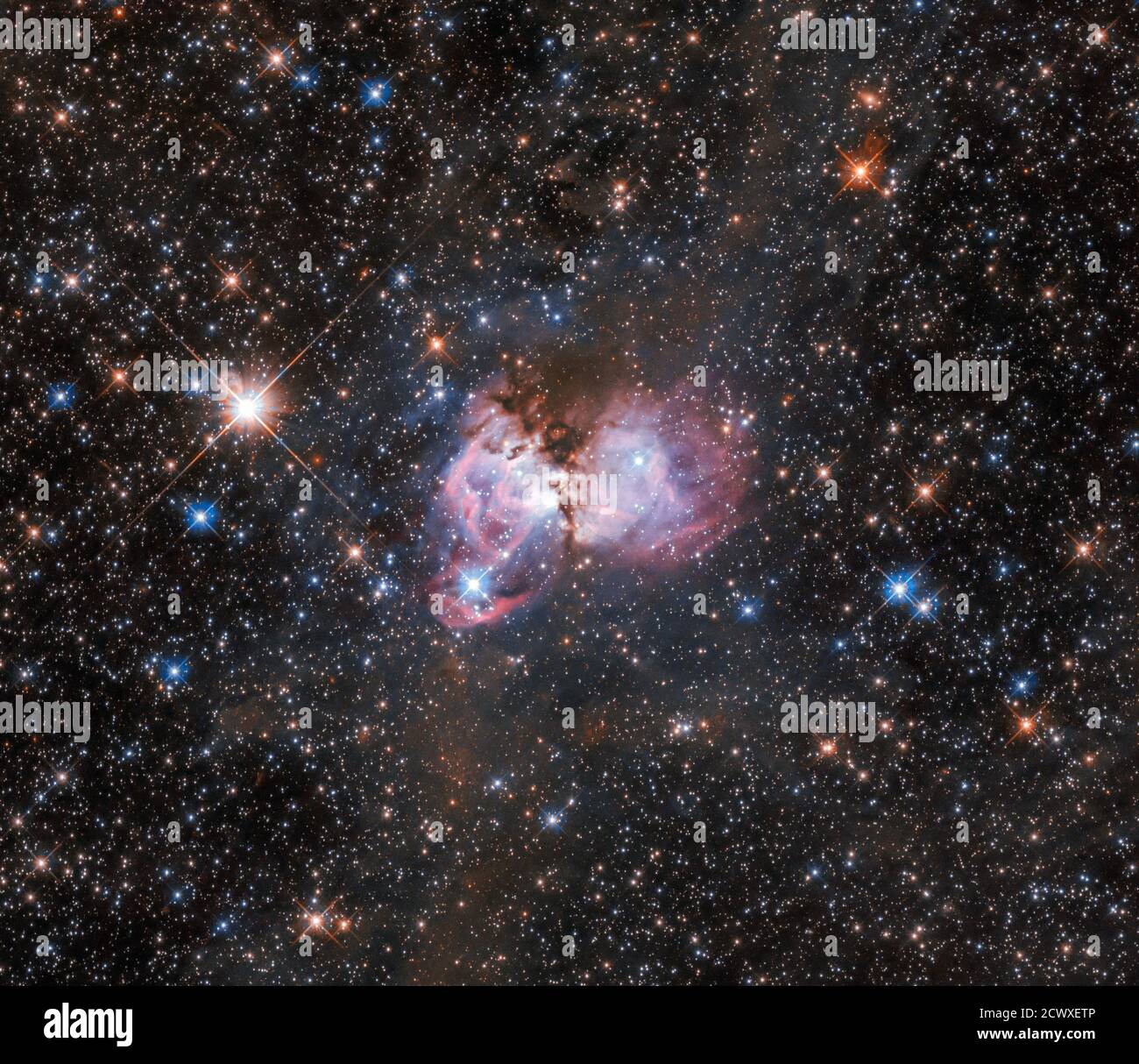Un laboratoire cosmique: LHA 120-N 150 cette scène de création stellaire, capturée par le télescope spatial Hubble, se trouve près de la périphérie de la célèbre Tarantula Nebula, la plus grande pépinière stellaire connue de l'univers local. Appelé LHA 120-N 150, ce nuage de gaz et de poussière, ainsi que les nombreuses étoiles jeunes et massives qui l'entourent, est le laboratoire parfait pour étudier l'origine des étoiles massives. La nébuleuse est située à plus de 160,000 années-lumière dans le grand nuage Magellanique, une galaxie irrégulière naine voisine qui orbite notre galaxie, la voie lactée. Également connu sous le nom de 30 Doradus ou NGC 2070, TH Banque D'Images