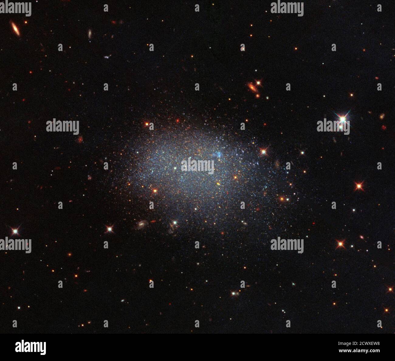 Hubble voit Stellar Glitter dans un vide cosmique contrairement à une galaxie spirale ou elliptique, la galaxie KK 246 ressemble à des paillettes déversées sur une feuille de velours noir. KK 246, également connu sous le nom d'ESO 461-036, est une galaxie irrégulière naine résidant dans le vide local, une vaste région d'espace vide. Cette galaxie solitaire est la seule connue pour certain de résider dans cet énorme volume, avec 15 autres qui ont été provisoirement identifiés. Bien que l'image semble être pleine de galaxies, elles sont en fait au-delà de ce vide, et au lieu de faire partie d'autres groupes ou groupes de galaxies. Les vides cosmiques, comme Banque D'Images