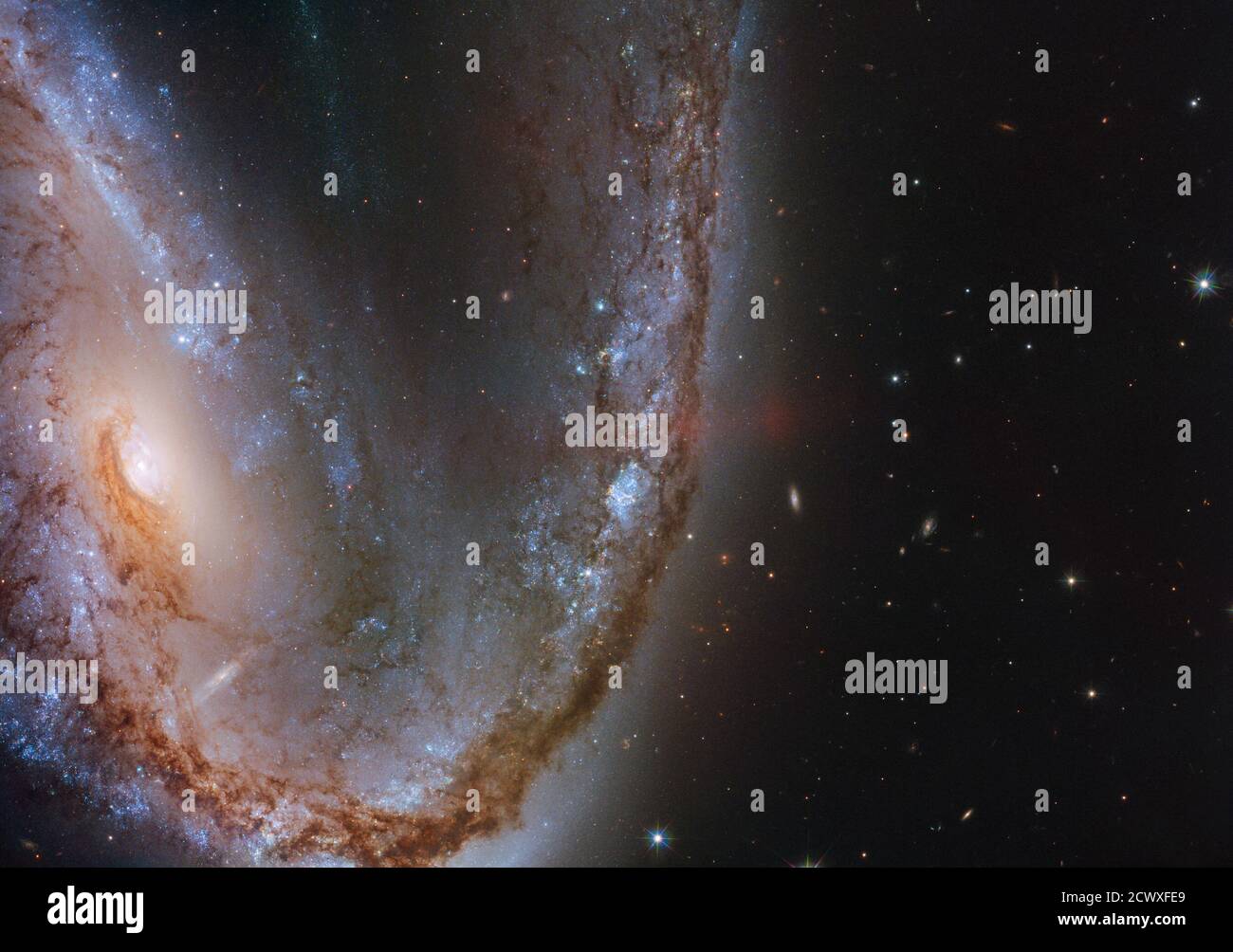 Hubble Hooks Supernova Host Galaxy cette image du télescope spatial Hubble NASA/ESA présente la spectaculaire galaxie NGC 2442, surnommée la galaxie Meathook en raison de sa forme extrêmement asymétrique et irrégulière. Cette galaxie a été l'hôte d'une explosion de supernova repérée en mars 2015, connue sous le nom de SN 2015F, qui a été créée par une étoile naine blanche. La naine blanche faisait partie d'un système binaire d'étoiles et siphonne la masse de son compagnon, devenant finalement trop gourmande et prenant sur plus qu'elle ne pourrait gérer. Cette étoile déséquilibrée et déclenché une fusion nucléaire folle qui a finalement conduit à un intugel Banque D'Images