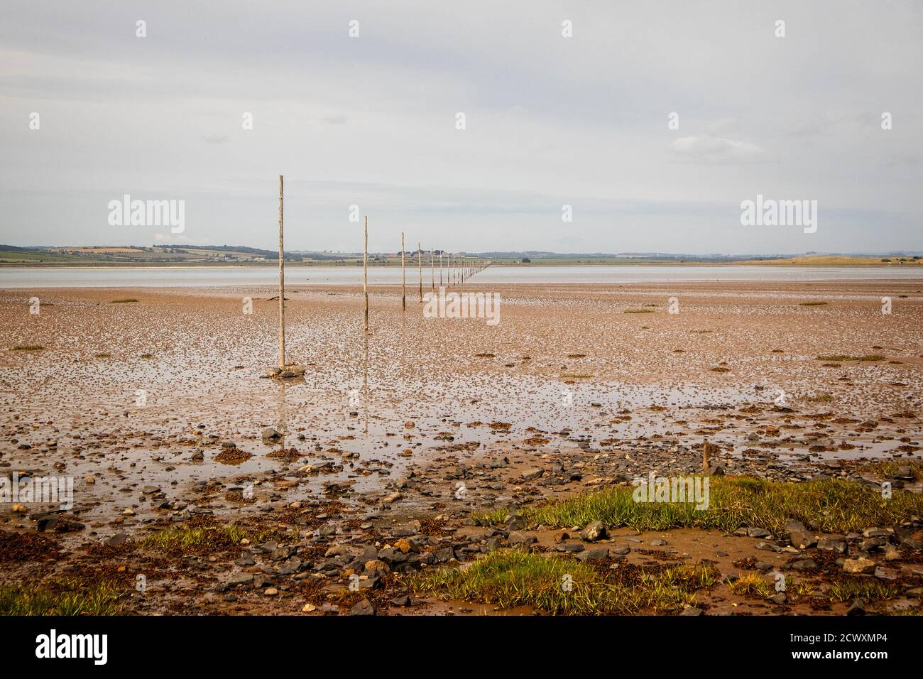 Postes marquant le chemin des pèlerins de St Cuthbert vers l'île Sainte Banque D'Images