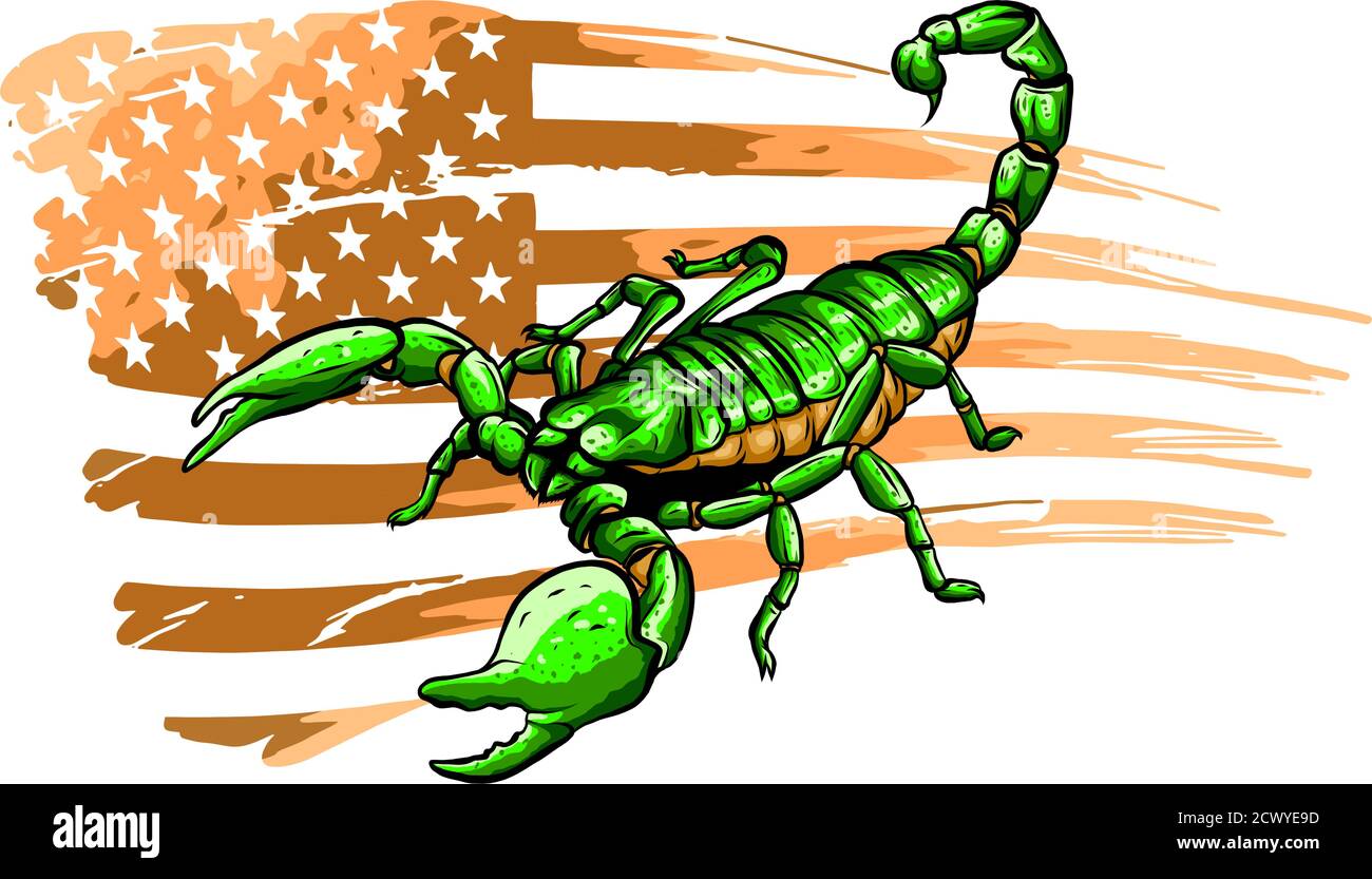 L'illustration montre un vecteur de scorpion. Sauvage Illustration de Vecteur