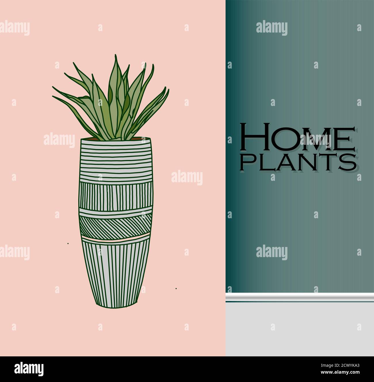Vector Houseplants dans un conteneur pour usage intérieur comme usine de maison dans des pots. Concept de jardinage à la maison. Illustration moderne à vecteur plat Illustration de Vecteur