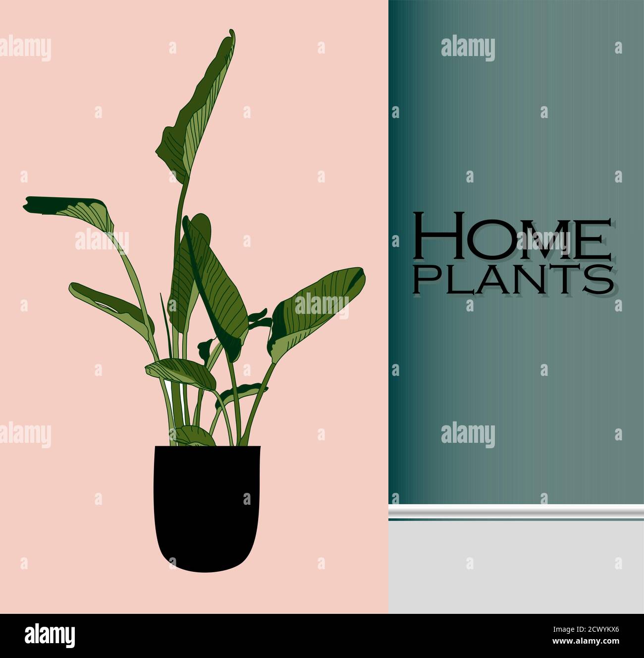 Vector Houseplants dans un conteneur pour usage intérieur comme usine de maison dans des pots. Concept de jardinage à la maison. Illustration moderne à vecteur plat Illustration de Vecteur