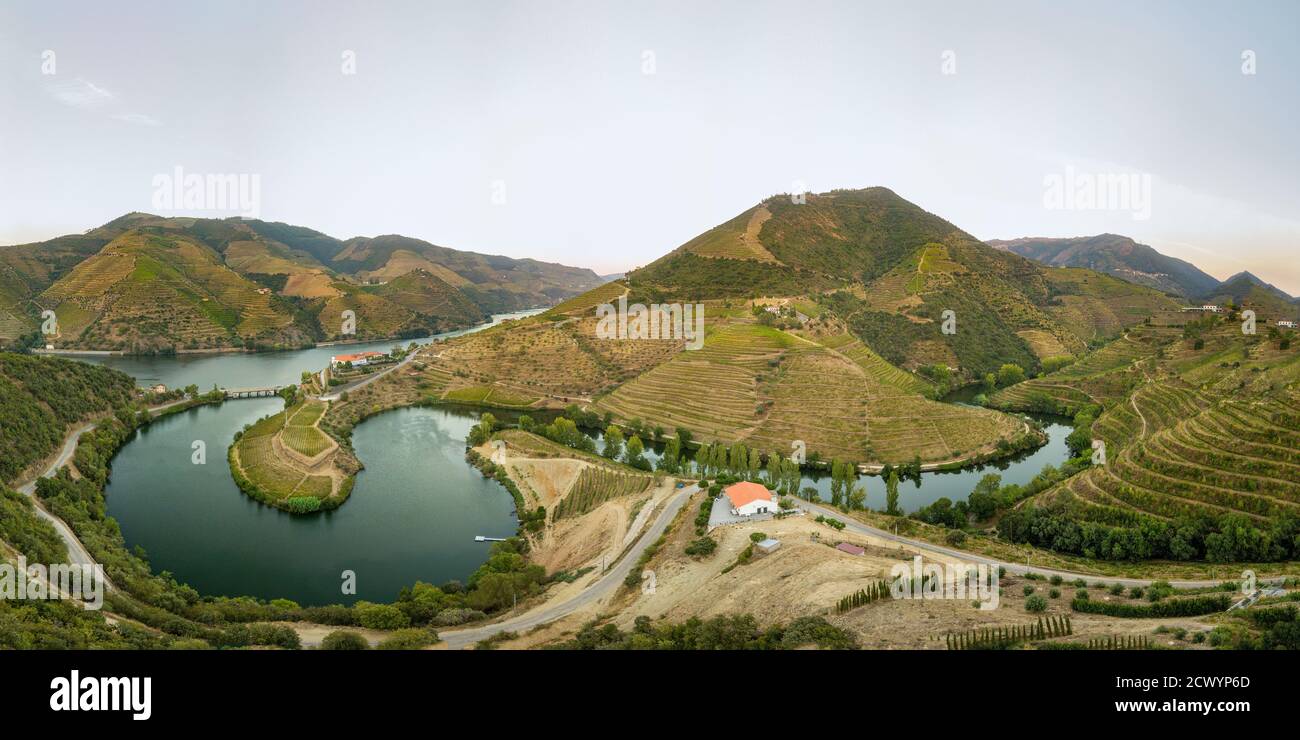 Région de la vallée du Douro, Portugal. Paysage de vignes avec belle ferme. Attraction touristique et destination de voyage. Vue de dessus de l'antenne de drone. Plier sh Banque D'Images