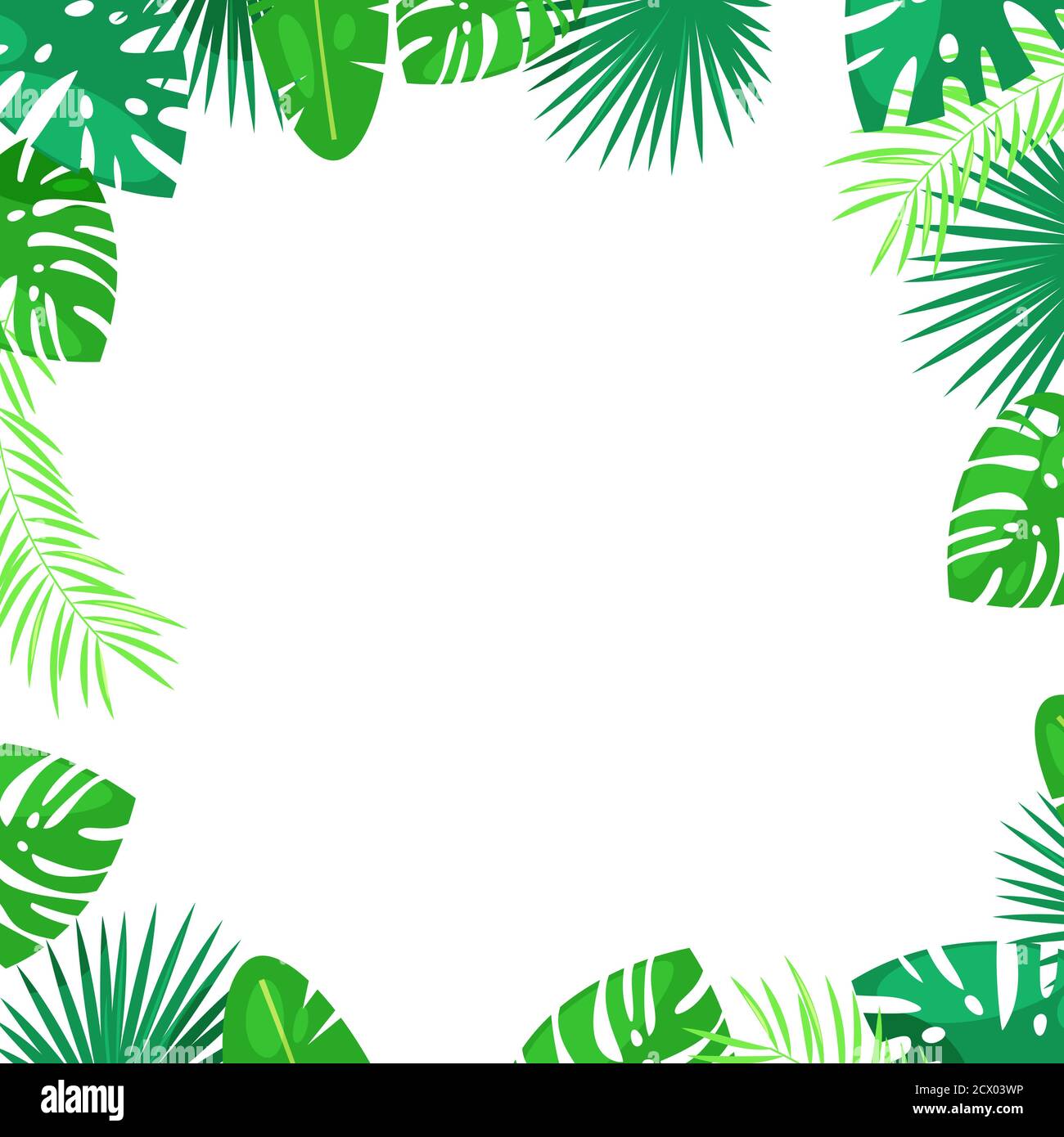 Le palmier tropical laisse un cadre carré vectoriel. Arrière-plan blanc avec emplacement pour le texte. Plantes exotiques de la jungle, illustration de dessin animé d'été. Illustration de Vecteur