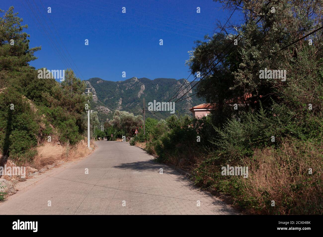 Route pavée vers les montagnes avec arbres et lignes électriques le long Banque D'Images