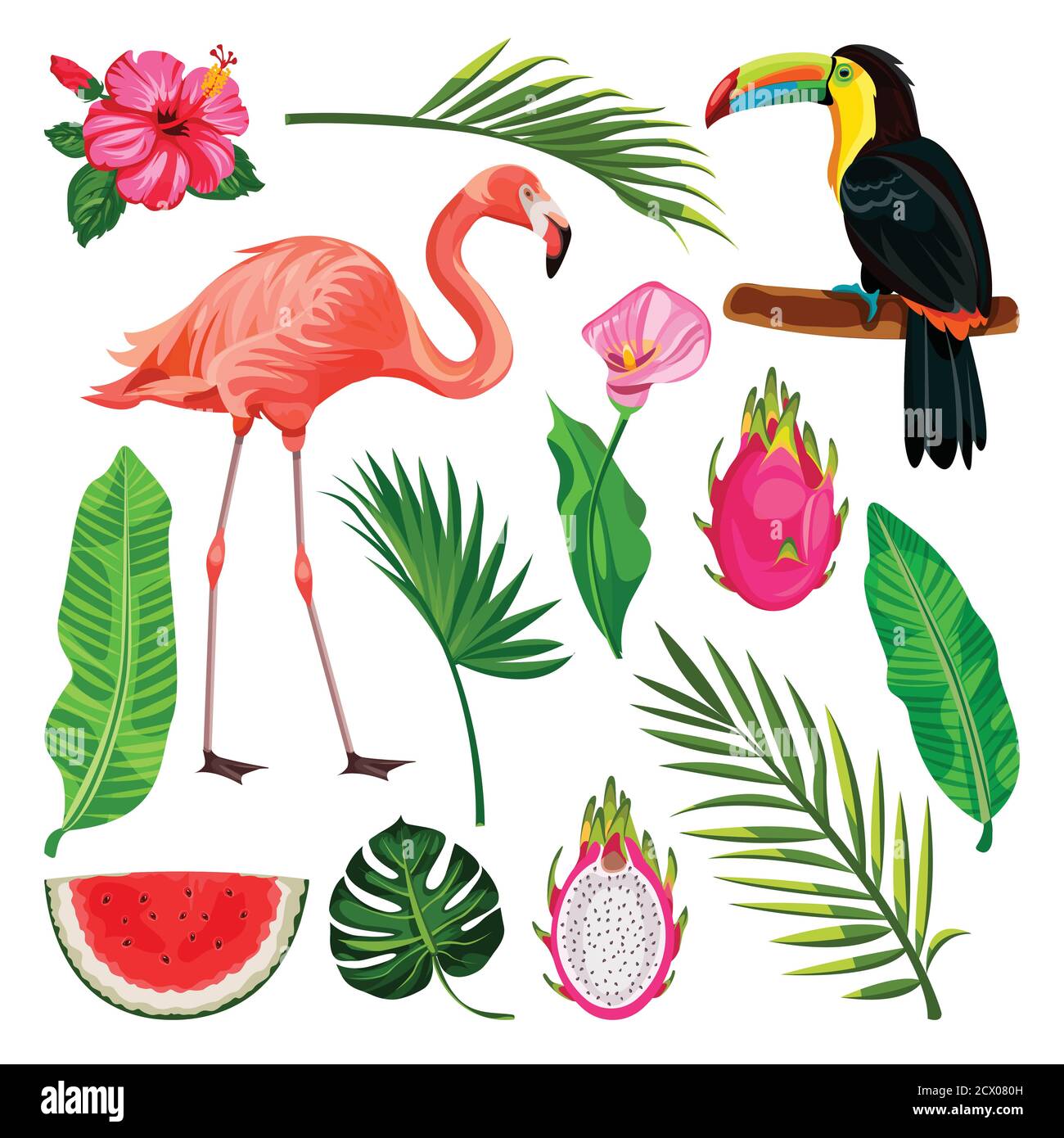 Ensemble d'éléments de design tropicaux d'été, isolé sur fond blanc. Illustration vectorielle de toucan, de flamants roses, de feuilles de palmier et de fruits de dragon. Illustration de Vecteur