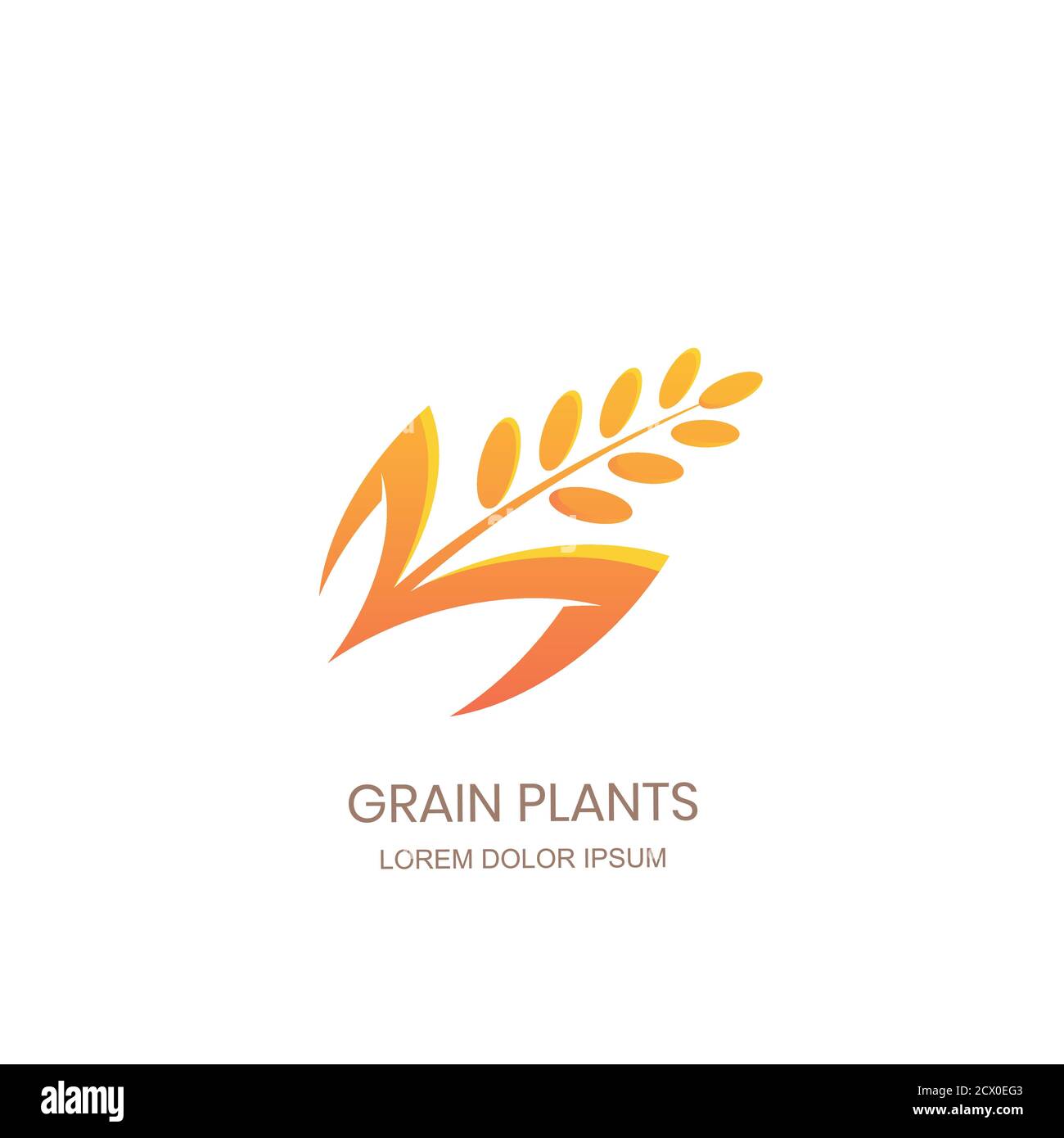 Concept de signe de logo de plantes de grain. Icône riz, blé, seigle céréales. Design vectoriel pour emballage de farine biologique, étiquette de pain, boulangerie. Illustration de Vecteur