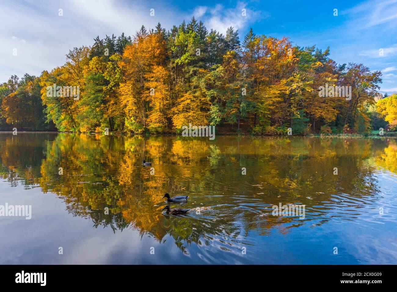 Matin d'automne au lac Thal près de Graz, région de Styrie, Autriche Banque D'Images