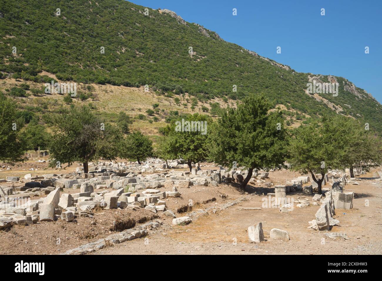 Rue dans l'ancienne ville grecque Ephèse ou Efes sur la côte d'Ionia dans la province d'Izmir, Turquie en été. Banque D'Images