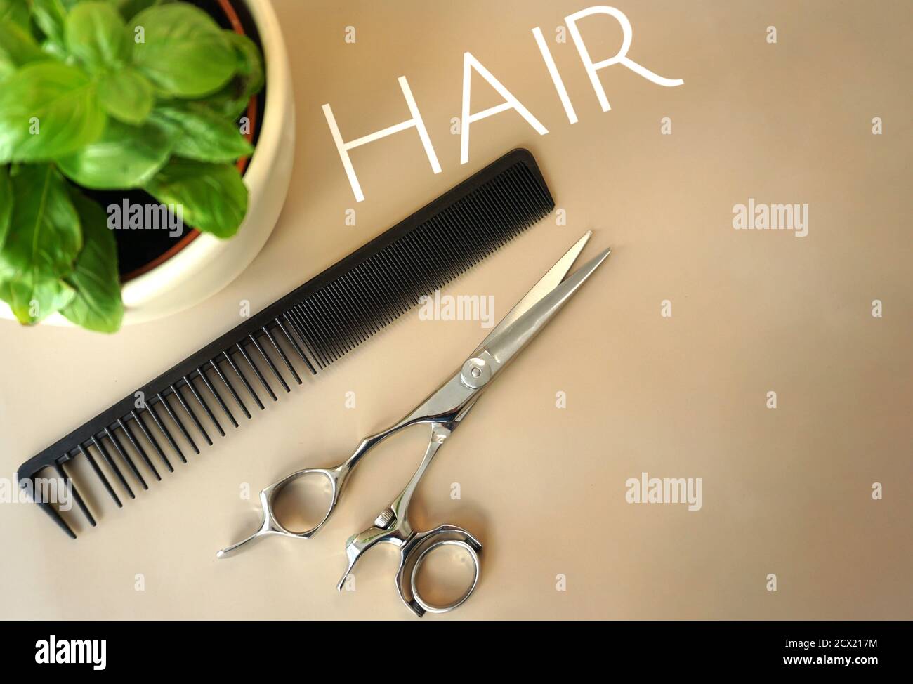 Coiffeur Outils, peigne à couper et ciseaux, une plante verte Banque D'Images