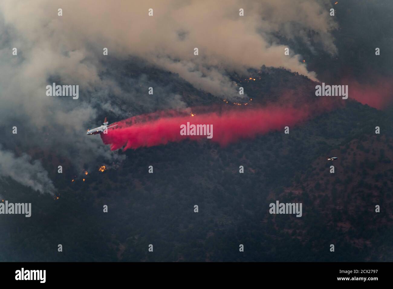 Avion tombant ignifuge sur un feu de forêt Banque D'Images