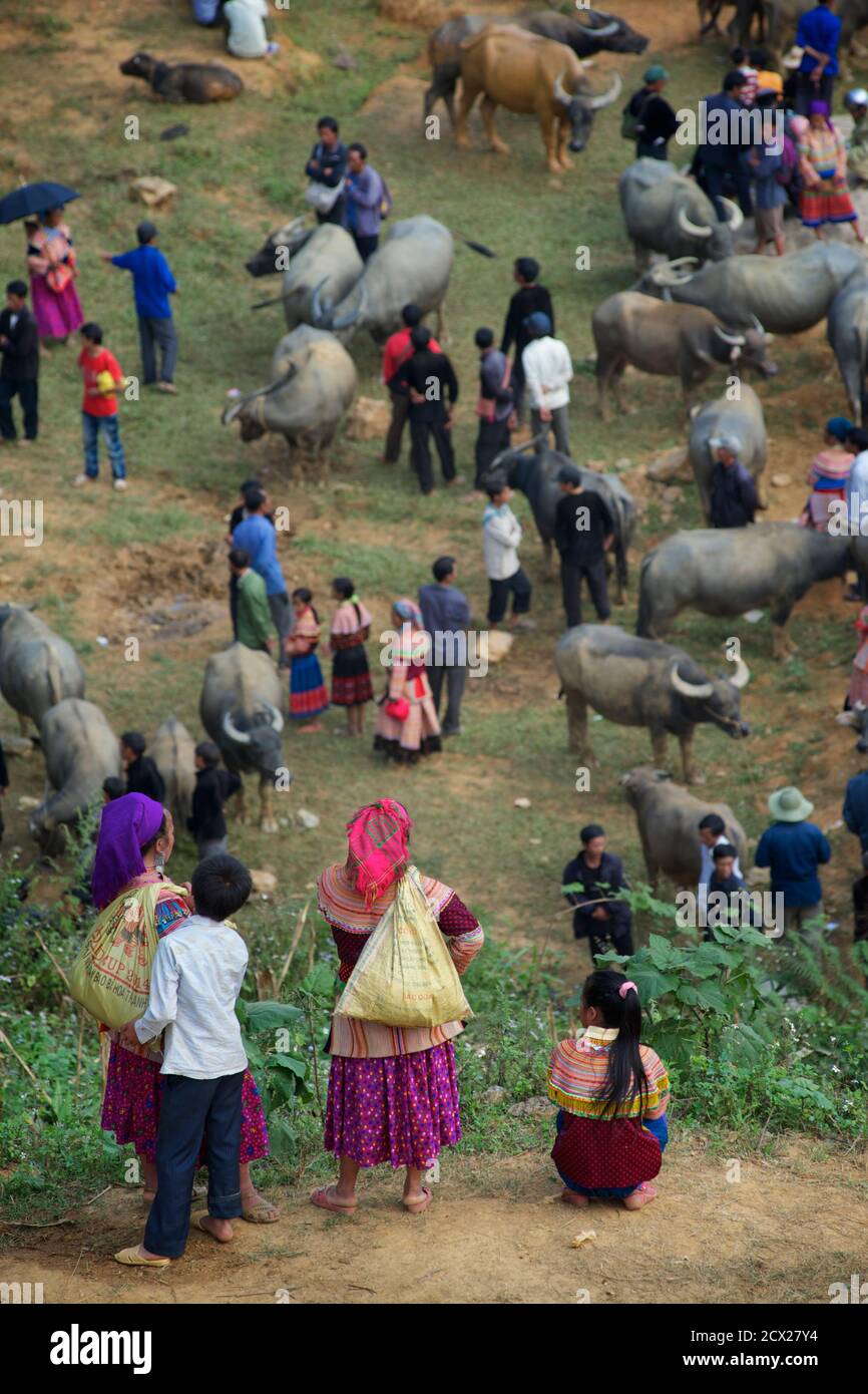 Les villageois de Hmong surplombent la section du bétail au marché CAN Cau, près de bac Ha. Lao Cai province, Nord du Vietnam Banque D'Images