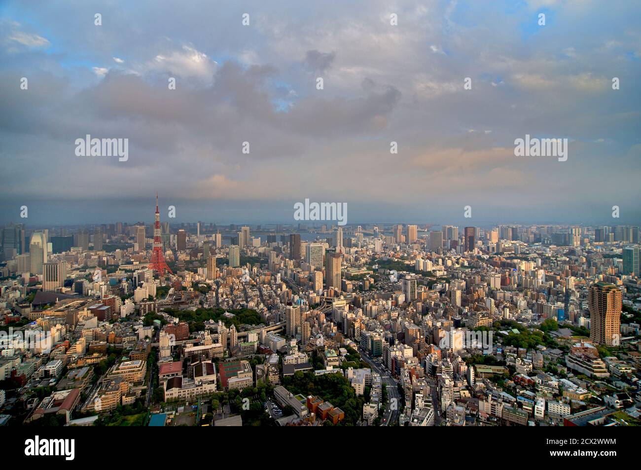 Vue sur Tokyo et la Tour de Tokyo depuis la TOUR MORI, Roppongi Hills, Japon Banque D'Images