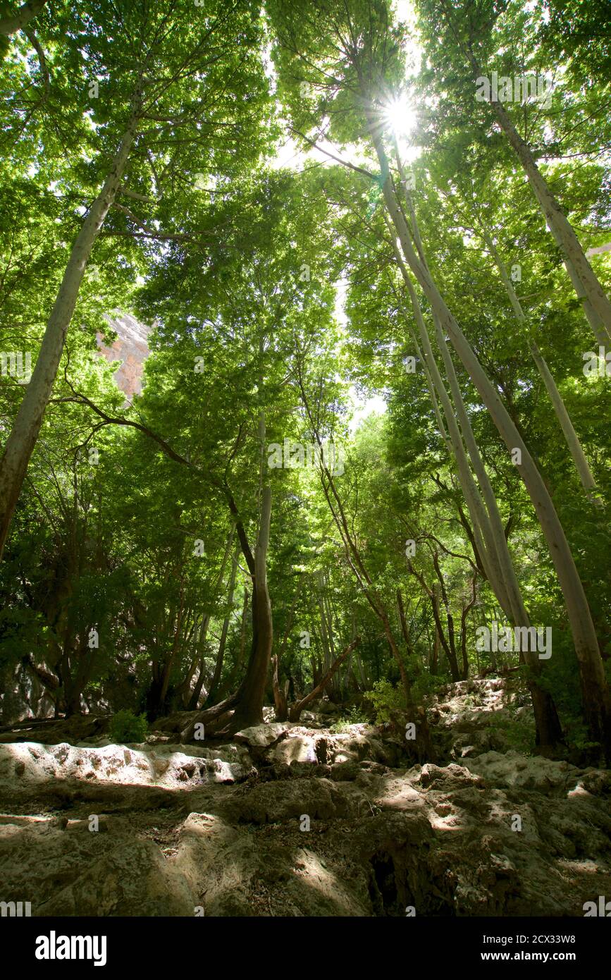 Behesht-e Gomshode, également connu sous le nom de paradis perdu, la province du Fars, montagnes de Zagros, au centre de l'Iran Banque D'Images