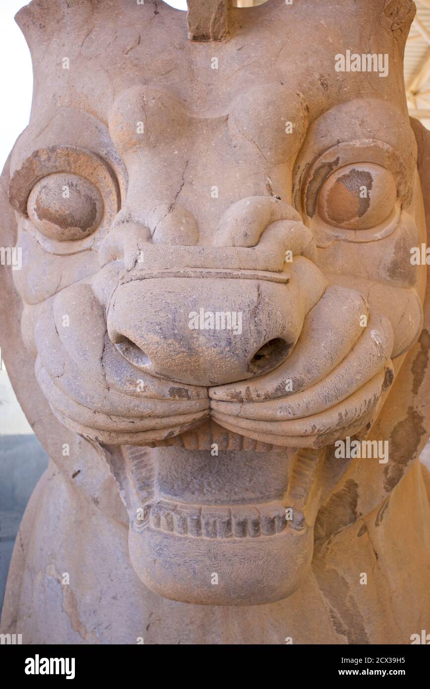 Sculpture de lion de pierre sculptée, Persepolis, Iran Banque D'Images