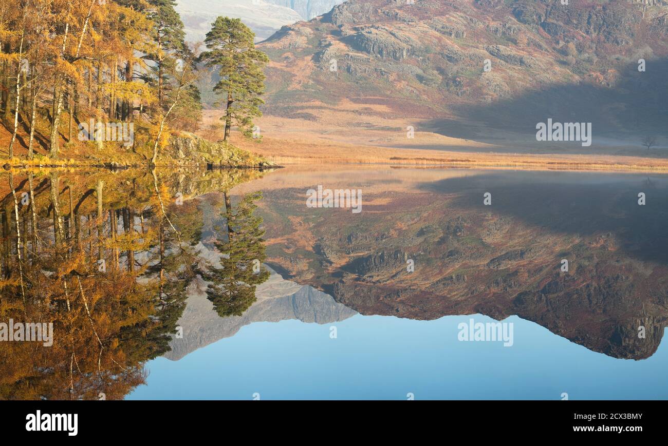Réflexions à Blea Tarn, Lake District, Royaume-Uni Banque D'Images