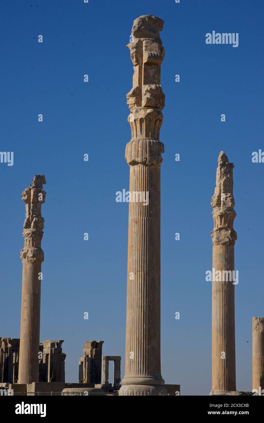 Capitale des colonnes achéménides sculptées sur le site archéologique de Persepolis, en Iran. Ruines du palais des Apadana Banque D'Images