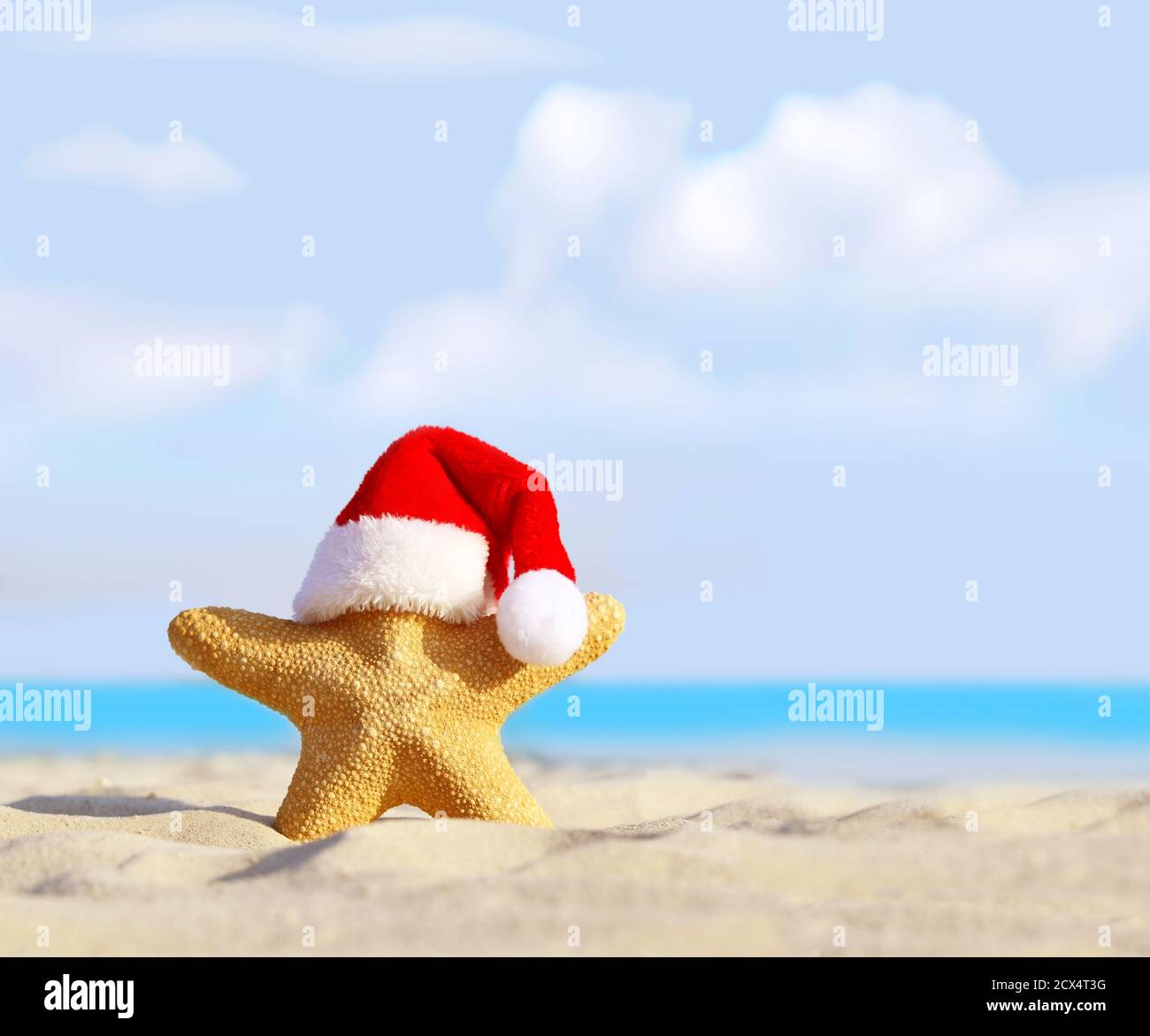 Plage d'été. Joyeux Noël. Chapeau Starfish au Père Noël Banque D'Images