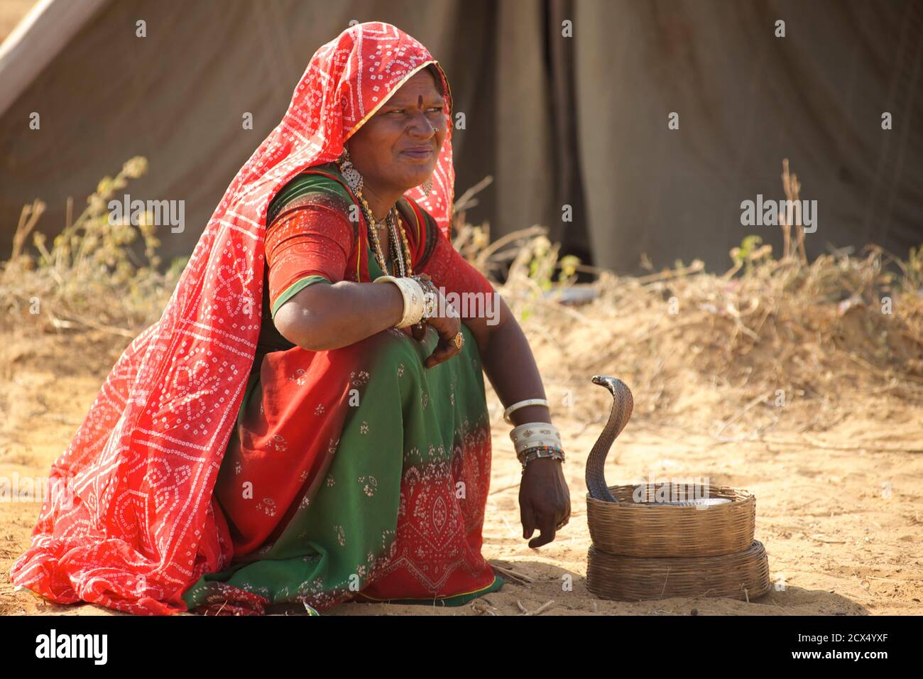 Femme Rajasthani. Charmeur de serpent, Pushkar, Rajasthan, Inde Banque D'Images