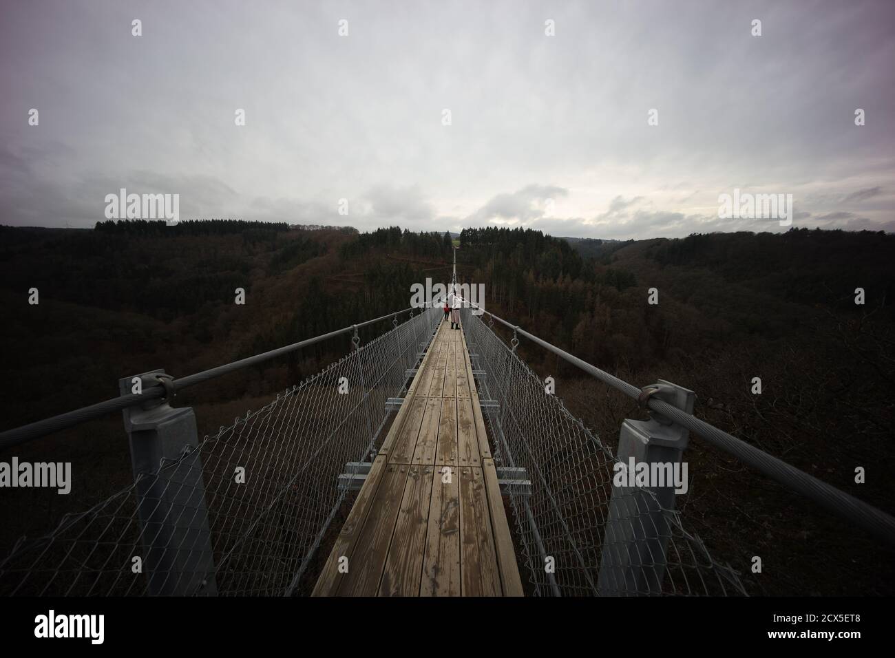 Pont suspendu en Rhénanie-Palatinat Allemagne Banque D'Images