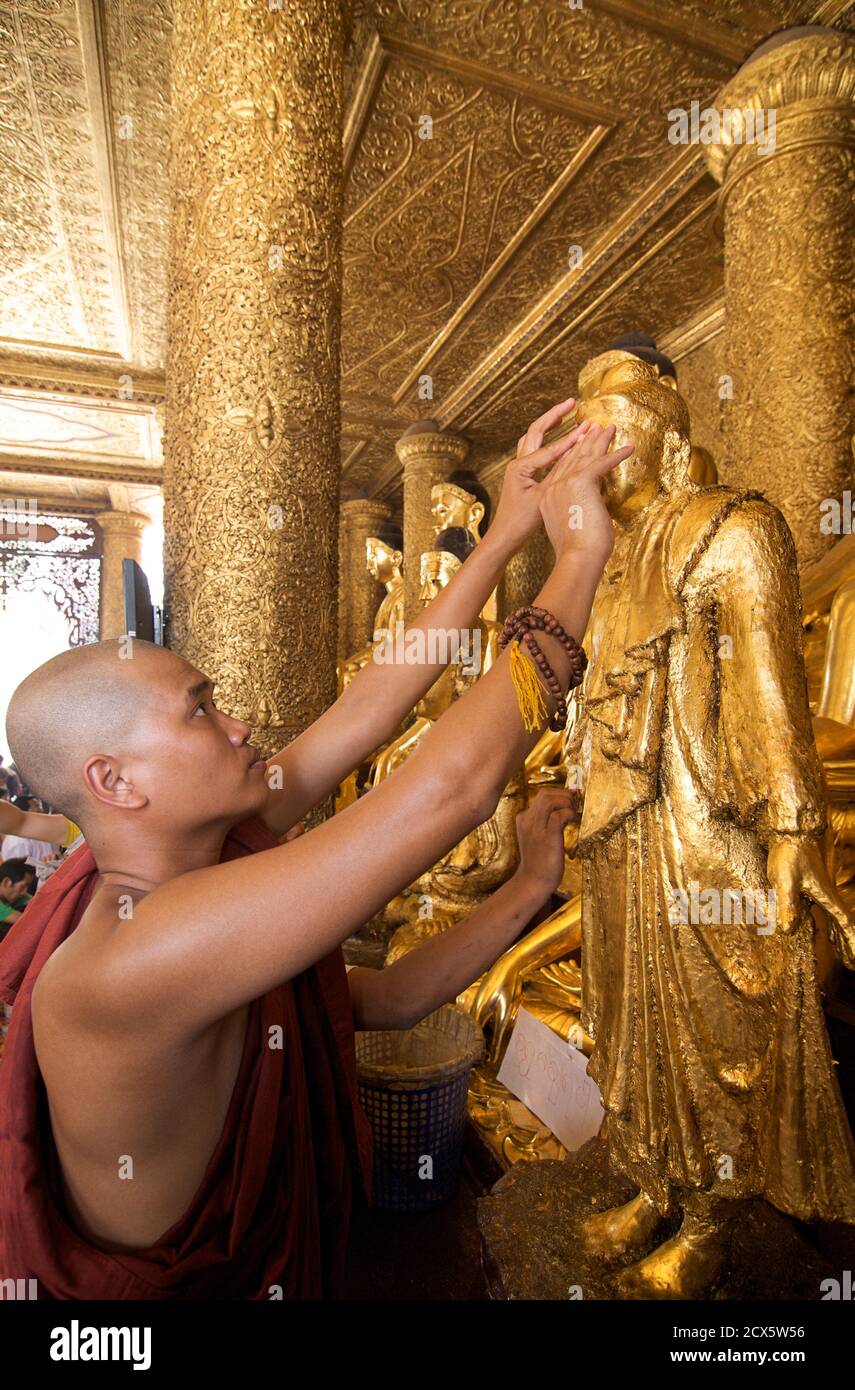 Moine bouddhiste appliquant la feuille d'or aux images de Bouddha, Pagode Shwedagon, Rangoon, Birmanie Myanmar Banque D'Images