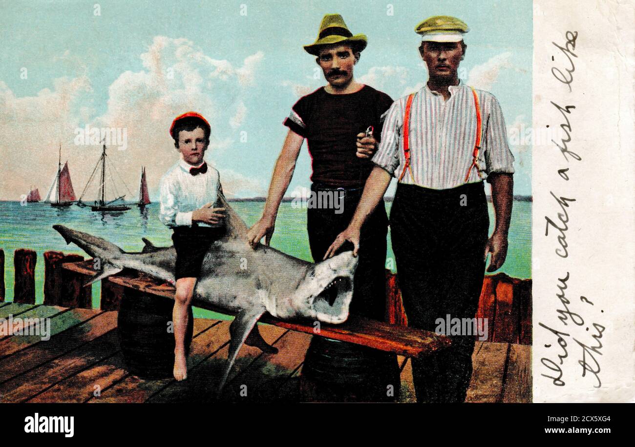 Image archivistique vers 1906 d'un garçon assis sur un requin et de deux hommes debout sur un quai. Banque D'Images