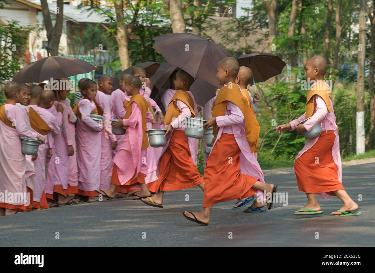 Les nonnes bouddhistes débutants recueillir l'aumône, Hsipaw, Birmanie. Myanmar Banque D'Images
