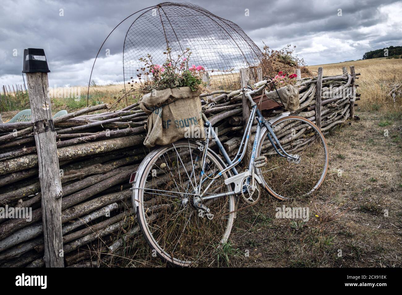 Vieux vélo comme décoration dans le jardin de permaculture Banque D'Images