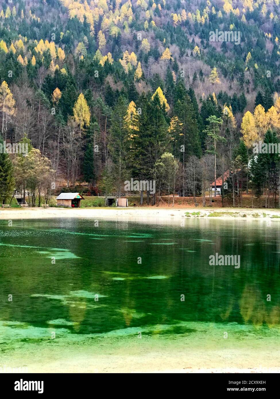 Saison d'automne en Slovénie. Alpes. Forêt à Kranjska gora. Magnifique lac de Jasna clair avec eau émeraude. Calme. Beauté naturelle. Banque D'Images