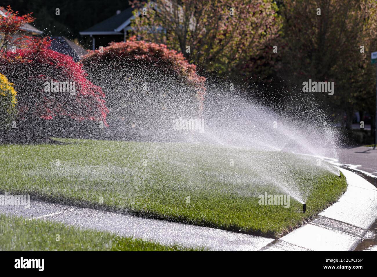 L'eau est pulvérisée par un système d'arrosage automatique sur la pelouse verte par temps ensoleillé. Banque D'Images