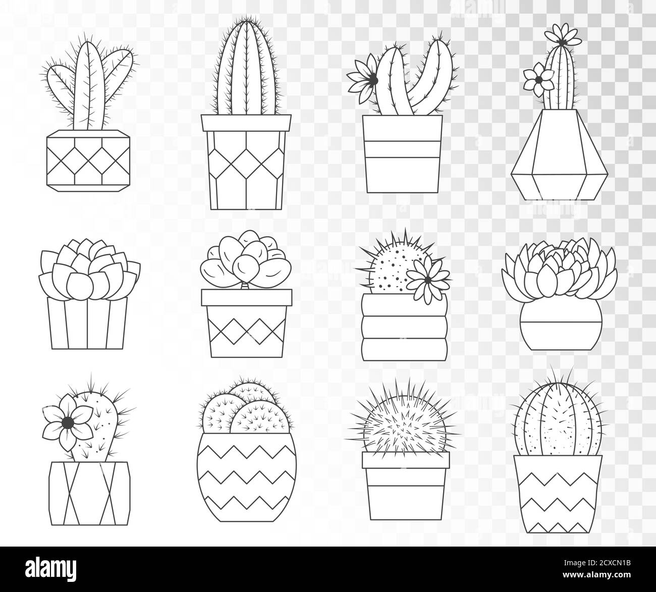 Ensemble vectoriel de cactus et de succulents dans des pots de fleurs. Collection de dessins au trait. Monochrome. Illustration de Vecteur