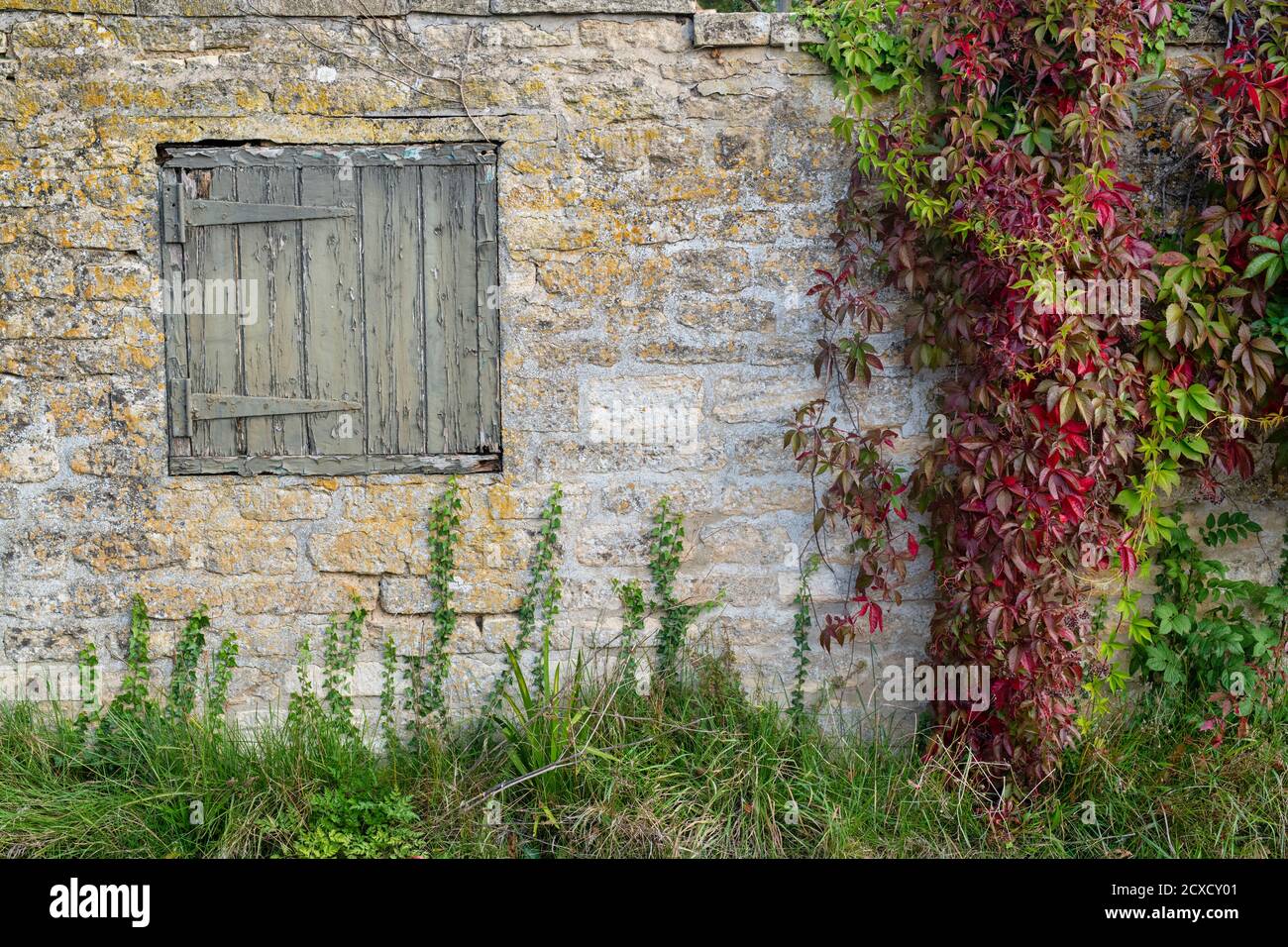 Parthenocissus quinquefolia. Virginia super-réducteur avec une ancienne porte en bois carrée sur un mur en pierre de cotswold. Taynton, Cotswolds, Oxfordshire, Angleterre Banque D'Images