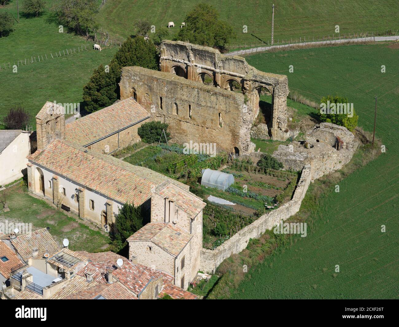VUE AÉRIENNE.Ruines du Prieuré de Saint-André-de-Rosans (est. En 988 ce).Ces vestiges datent du XIe siècle.Hautes-Alpes, France. Banque D'Images