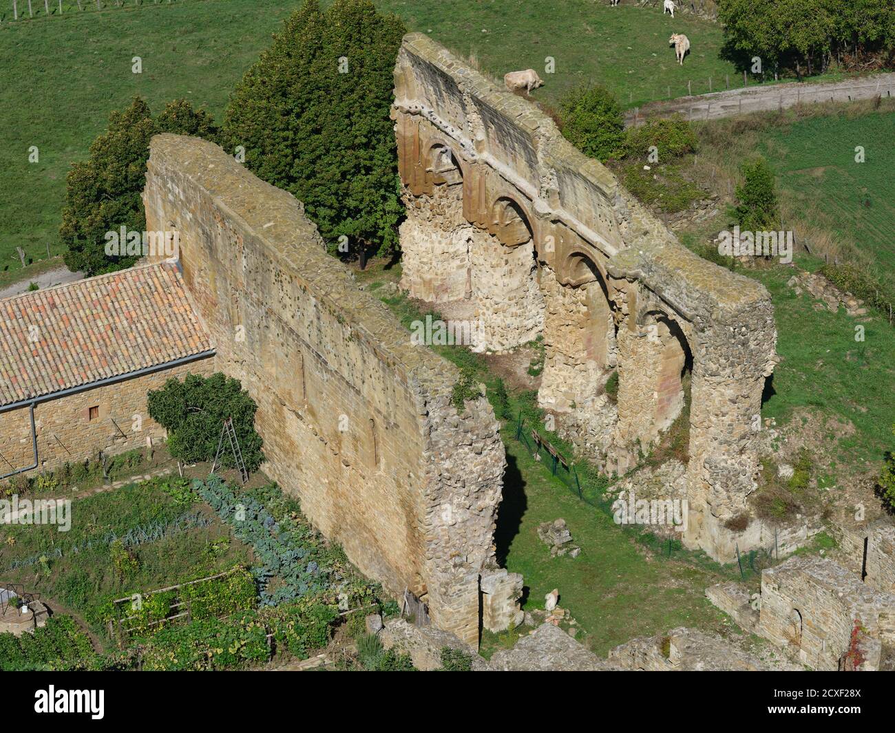 VUE AÉRIENNE.Ruines du Prieuré de Saint-André-de-Rosans (est. En 988 ce).Ces vestiges datent du XIe siècle.Hautes-Alpes, France. Banque D'Images
