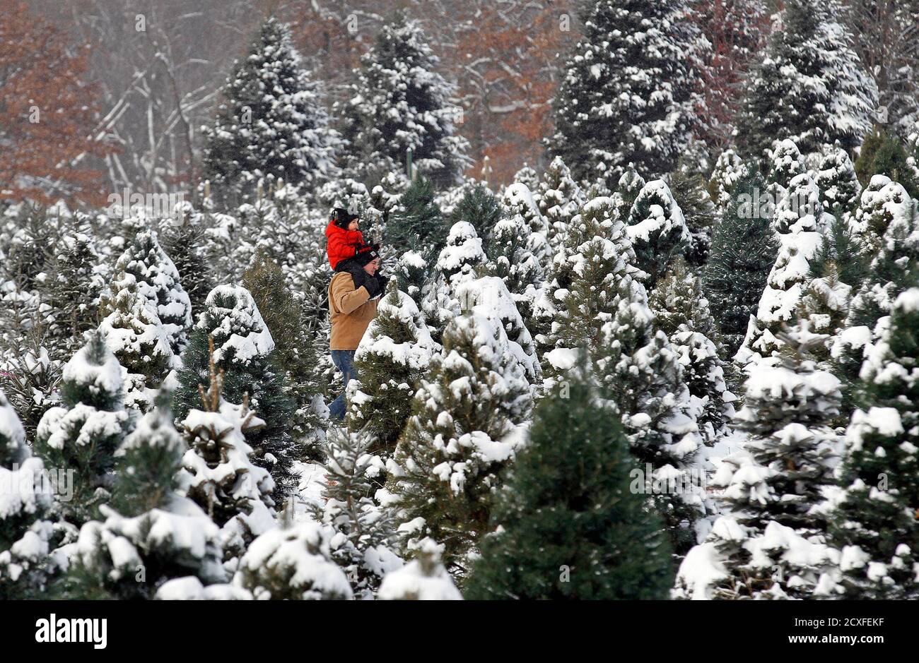 A man carries a child on his shoulders as they search for a ...