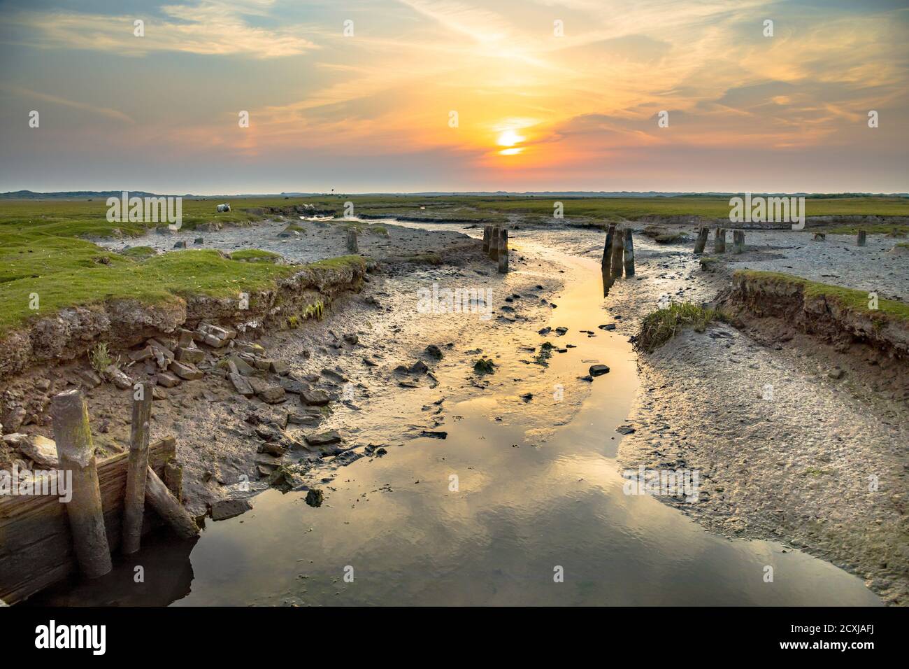 Chenal marécageux dans le marais salé avec système de drainage naturel sur l'île des wadden d'Ameland, en Frise, aux Pays-Bas Banque D'Images