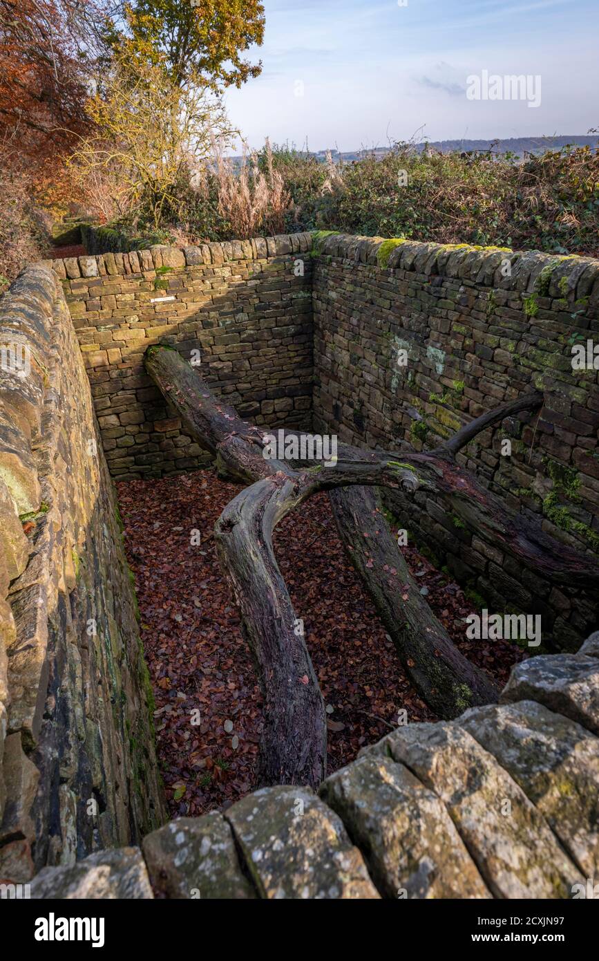 La sculpture environnementale de l'artiste Andy Goldsworthy « Hanging Trees » au Yorkshire Sculpture Park près de Wakefield, Yorkshire, Royaume-Uni Banque D'Images