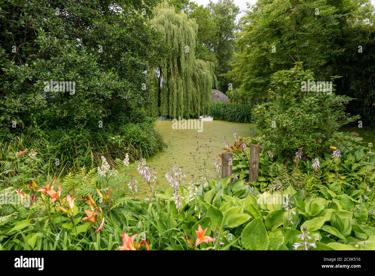Westonbury Mill Water Gardens, Pembridge, Herefordshire, Royaume-Uni Banque D'Images