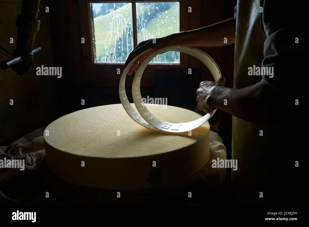 Cheese maker and farmer Alexandre Murith folds the molds after making a  wheel of cheese at La Proveta mountain pasture chalet in Gruyeres, western  Switzerland, September 20, 2013. During the summer grazing