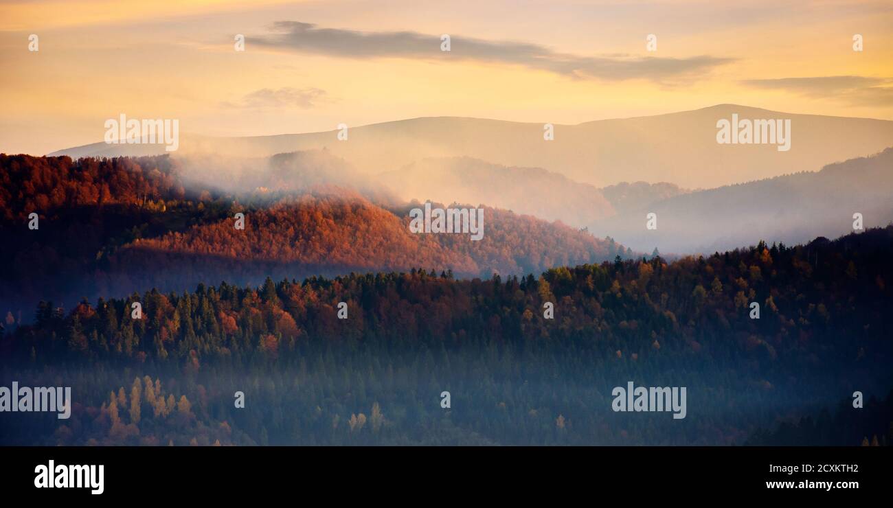 collines ondulantes dans le brouillard au lever du soleil. magnifique paysage de montagne en automne. nuages dans le ciel du matin. paysage de nature spectaculaire Banque D'Images